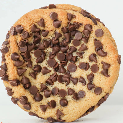 Chocolate Chip