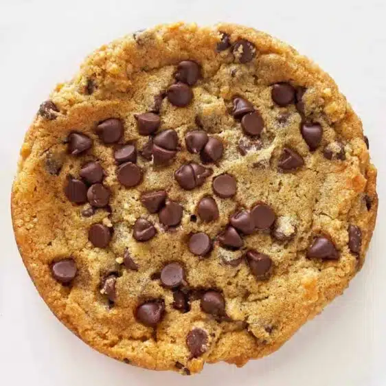 Soft Homemade Chocolate Chip Cookies in Gourmet Cookie Box Subscription - 6 months