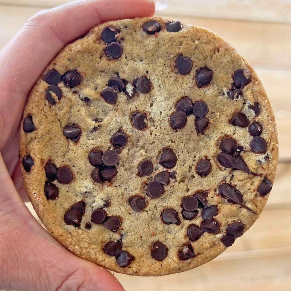 Chocolate Chip